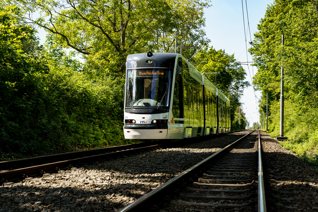 PfalzTram stößt auf großes öffentliches Interesse